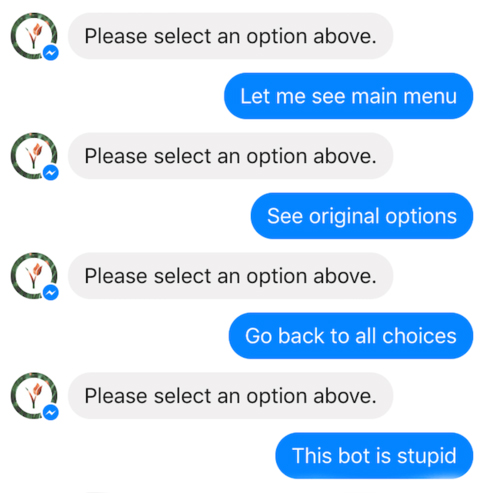 bad conversation between a user with a chatbot