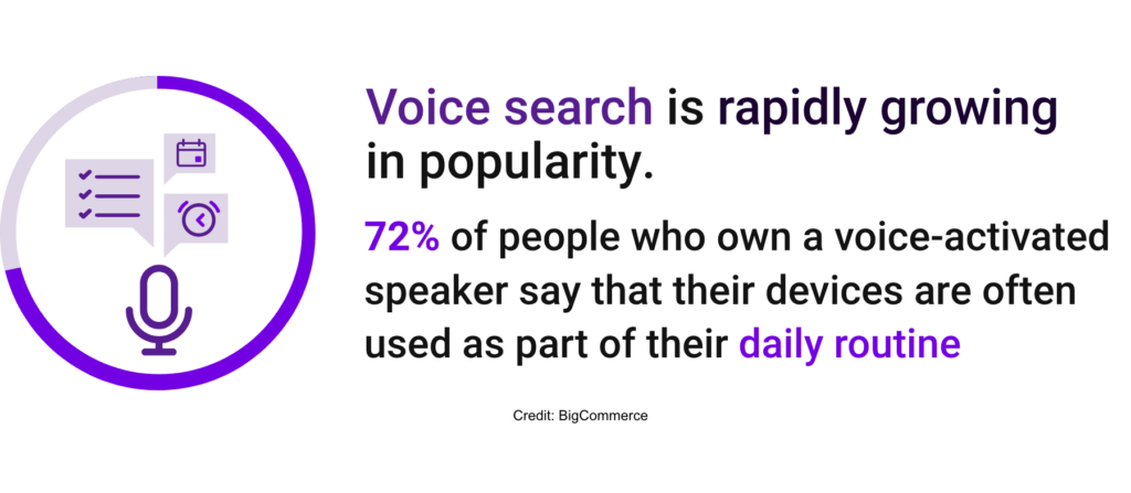 voice search insight