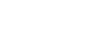 Databricks_Logo_ffs-1.png