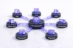 Diagram showing an eCommerce hub connected to ERP, PIM, CRM, marketing, payments, shipping, and back-end systems on a clean white background.