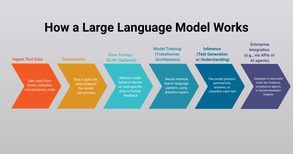 Infographic titled How a Large Language Model Works, from input text data and tokenization through fine-tuning, model training, and inference to enterprise integration.