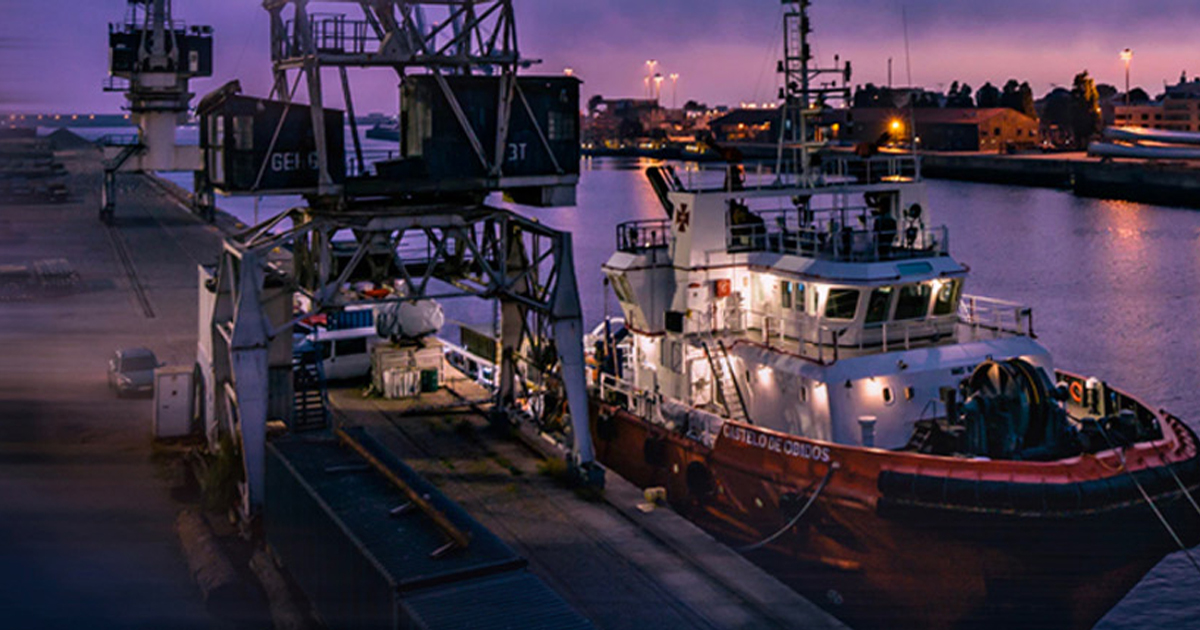 Cargo ships and cranes docked at an industrial port at dusk, representing the supply chain industry during COVID-19.