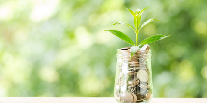 plant inside a glass full of coins